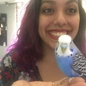 Meet your Posher, Laurel